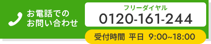 0120-161-244
